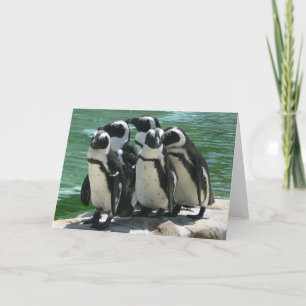 Penguins hälsningskort helgkort