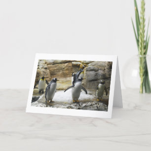 Penguins Helgkort