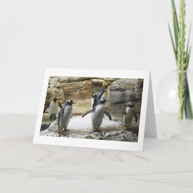 Penguins Helgkort (Framsida)