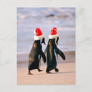 Penguins i Santa Hats på stranden Helg Vykort