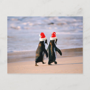 Penguins i Santa Hats på stranden Helg Vykort