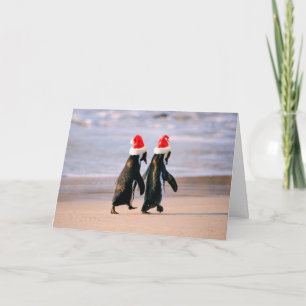 Penguins i Santa Hats på stranden Helgkort