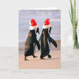 Penguins i Santa Hats på stranden Helgkort