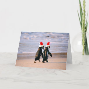 Penguins i Santa Hats på stranden Helgkort