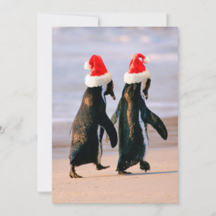 Penguins i Santa Hats på stranden Julkort