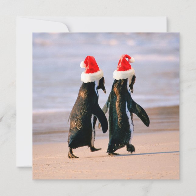 Penguins i Santa Hats på stranden Julkort (Framsida)
