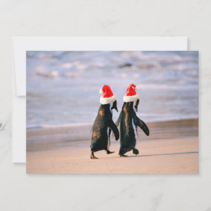 Penguins i Santa Hats på stranden Julkort