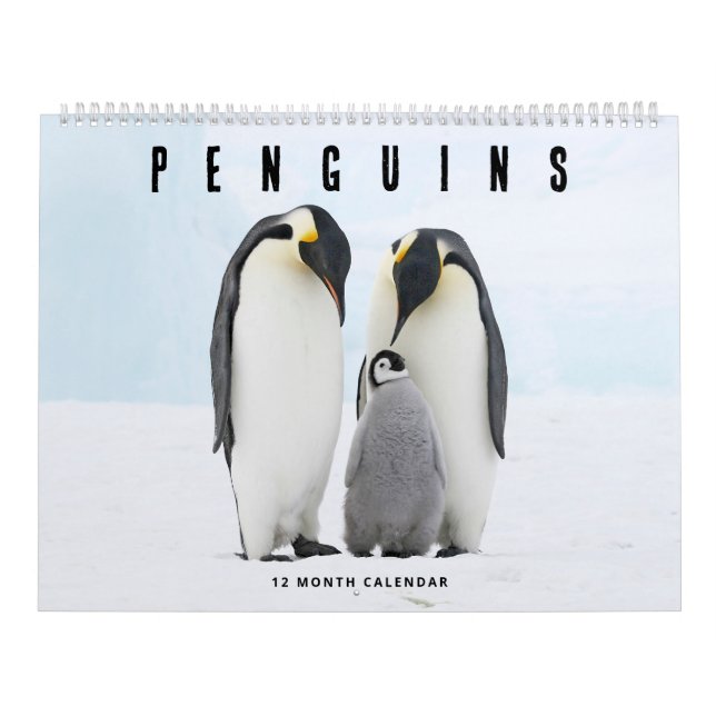 Penguins Kalender (Omslag)