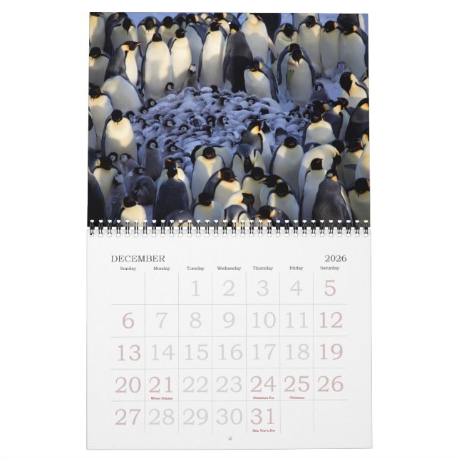 Penguins Kalender (Dec 2026)
