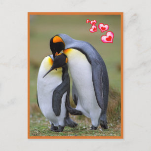 Penguins kärlek vykort