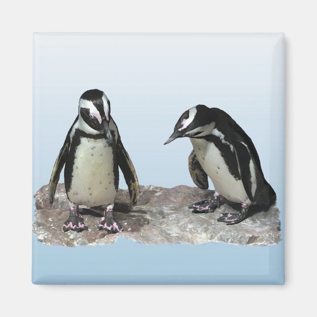 Penguins Magnet (Framsidan)