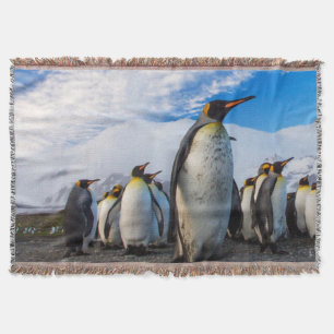 Penguins Marching Blå himmel Filt
