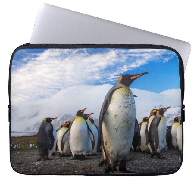 Penguins Marching Blå himmel Laptop Fodral (Framsidan)