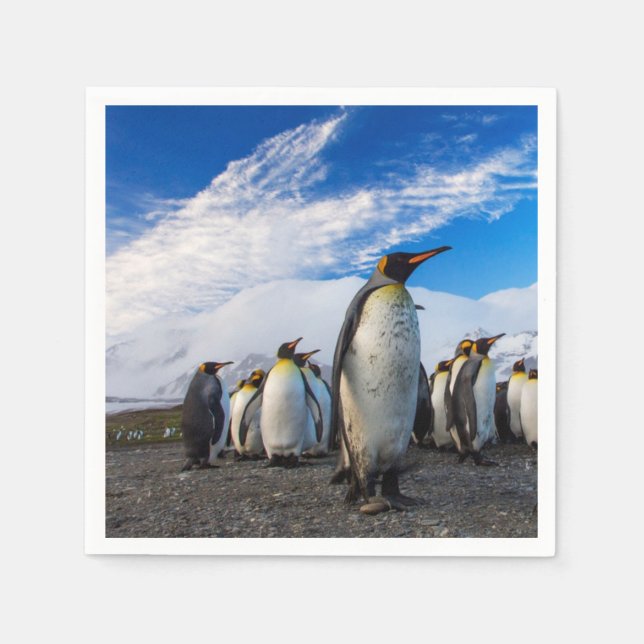 Penguins Marching Blå himmel Pappersservett (Framsidan)