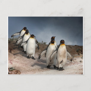 Penguins mars vykort
