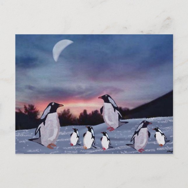 Penguins på Ice Postcards Vykort (Framsida)