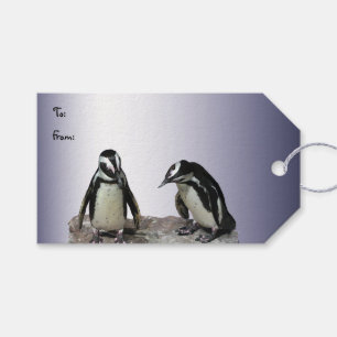 Penguins Pack om Gift Märkres Presentetikett
