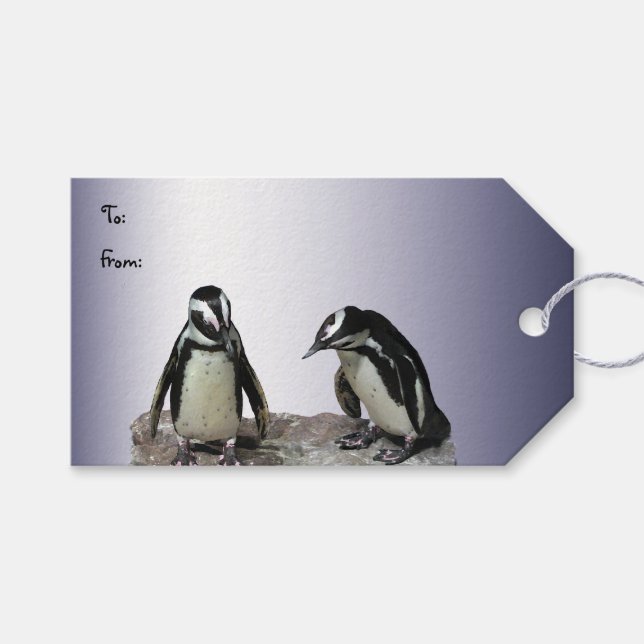 Penguins Pack om Gift Märkres Presentetikett (Framsidan (Horisontell))