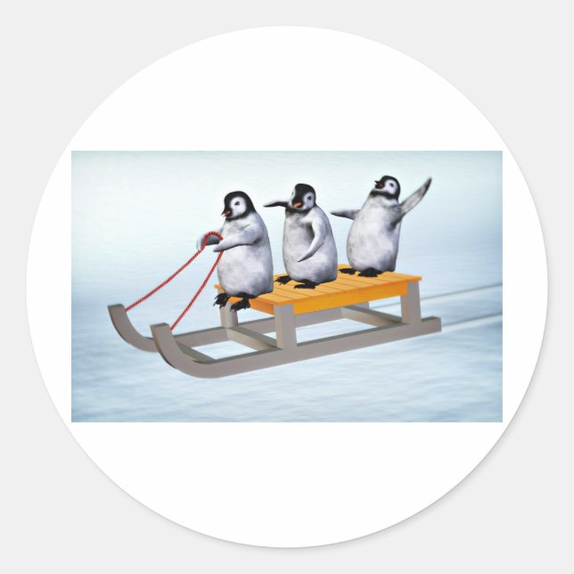 Penguins Sled Runt Klistermärke (Framsida)