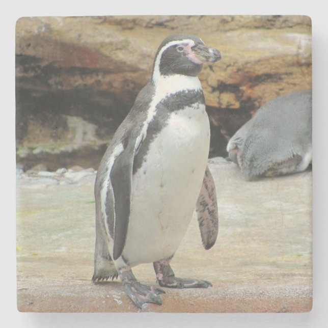 Penguins ständiga Ensam Stenunderlägg (Framsidan)