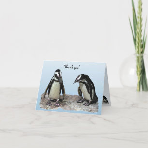 Penguins Tack Kort