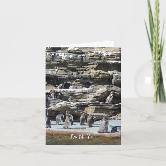 Penguins Tack Kort (Framsida)