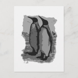 Penguins Vykort
