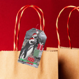 Penguins Wearing Red Santa Hats Helgdag Presentetikett