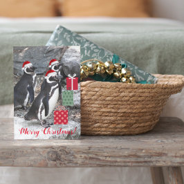 Penguins Wearing Santa Hats Funny Helgkort