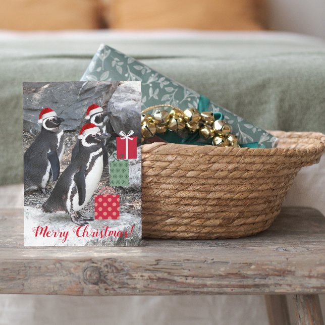 Penguins Wearing Santa Hats Funny Helgkort (In Situ)