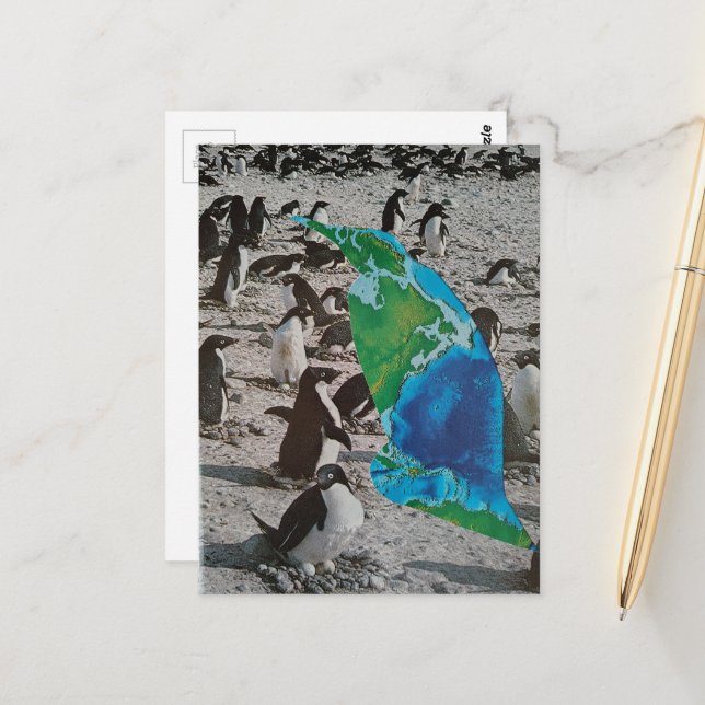 Penguins wildlife collage vykort (Fram/Back In Situ)