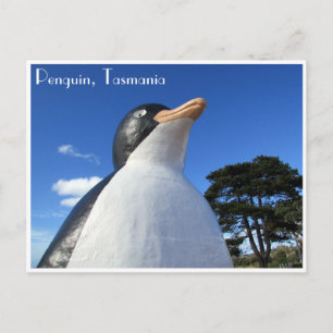 penguintasmani vykort