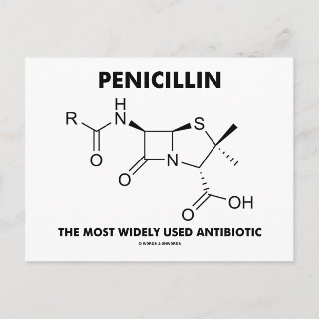 Penicillin Mest använda antibiotika (kemi) Vykort (Framsida)