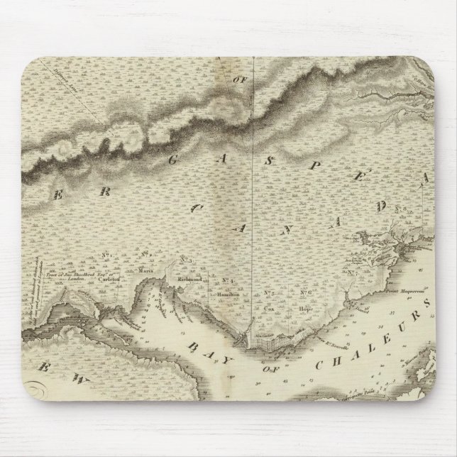 Peninsula av gasform musmatta (Framsidan)