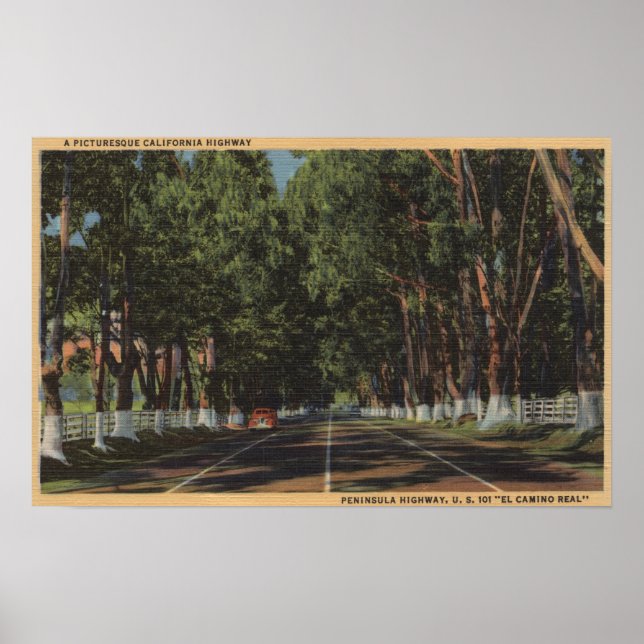 Peninsula Highway US 101 El Camino Real View Poster (Framsidan)
