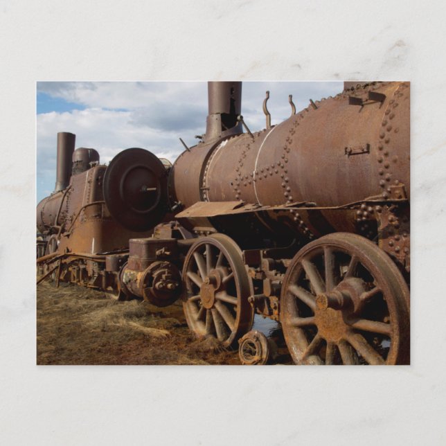 Peninsulan längs havet, Alaska, Tåg-Nowhere Vykort (Framsida)