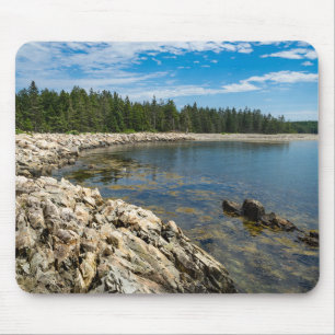 Peninsulan Schoodic i Maine Musmatta