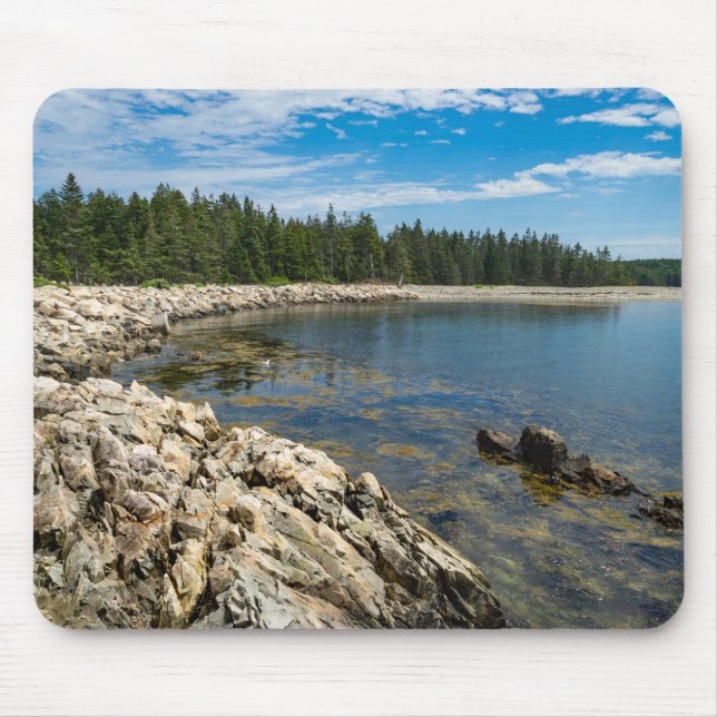 Peninsulan Schoodic i Maine Musmatta (Framsidan)