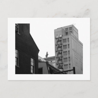 Penn Walking, Philadelphia. Vykort