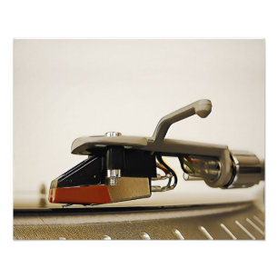 Penna - makrobild - fototryck