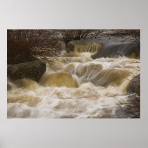 Pennant Brook bra art print Poster