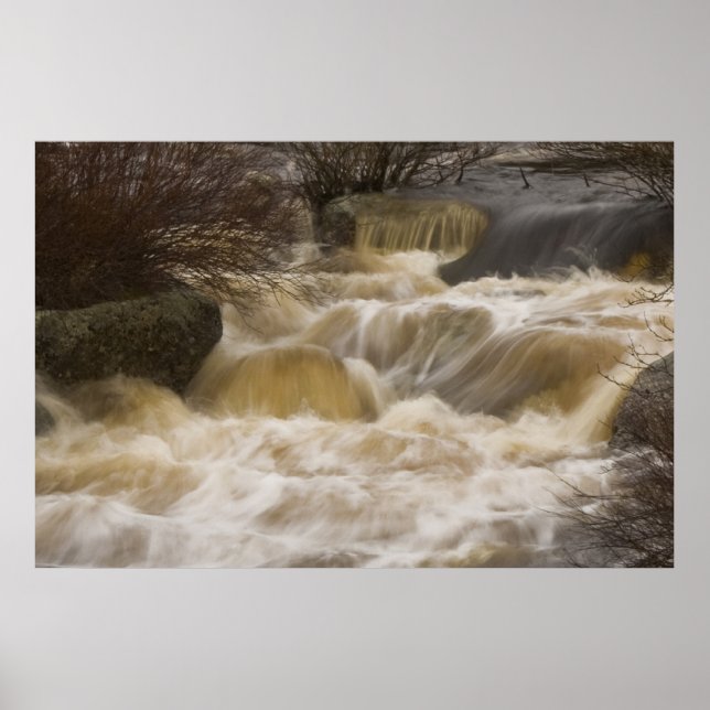 Pennant Brook bra art print Poster (Framsidan)