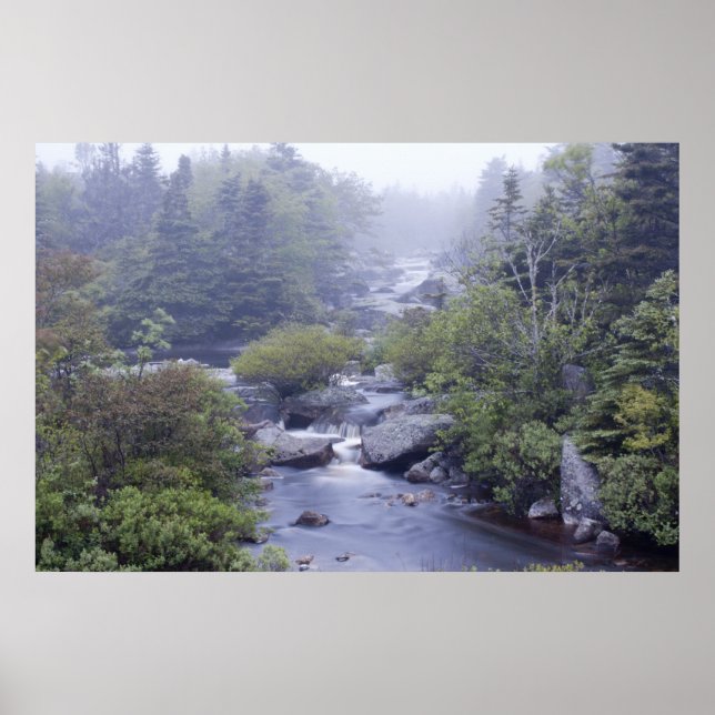 Pennant Brook in the Fog bra art print Poster (Framsidan)