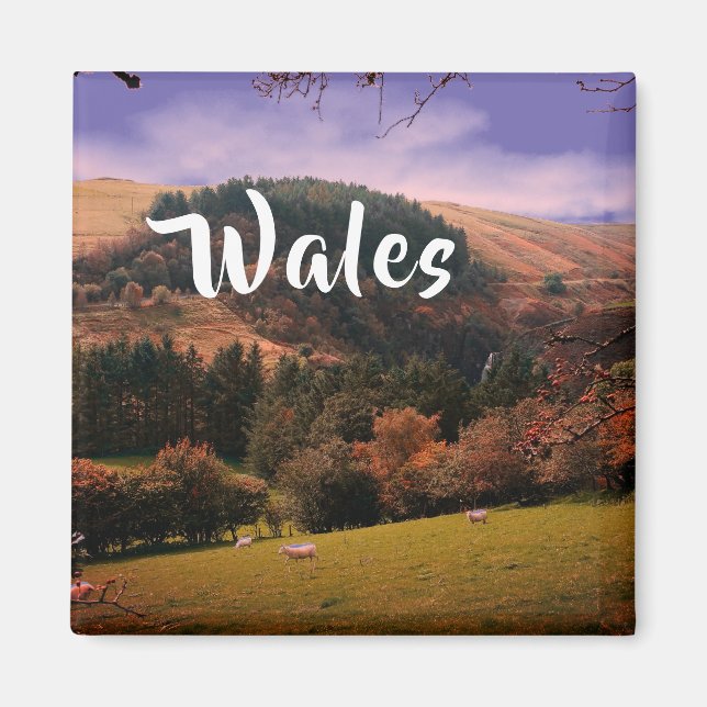 Pennant Valley Pasture i Wales Magnet (Framsidan)