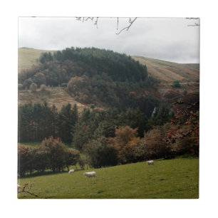 Pennant Valley Wales Kakelplatta