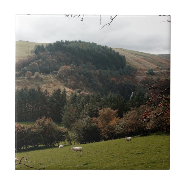 Pennant Valley Wales Kakelplatta (Framsidan)