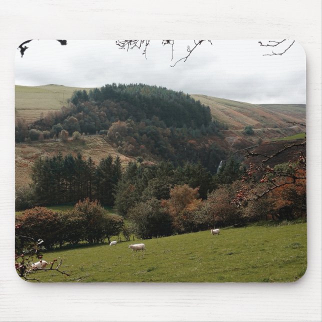 Pennant Valley Wales Musmatta (Framsidan)