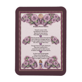 Pennier från himmelangelmagnet magnet