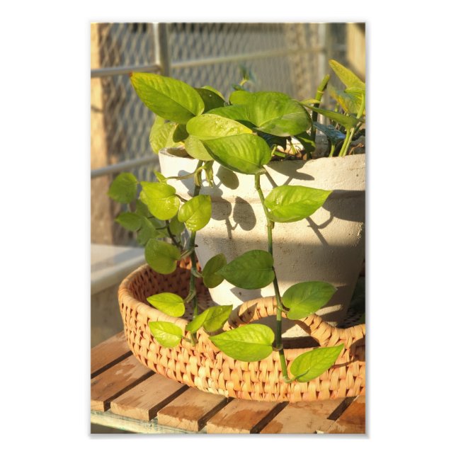 Penningfabrik Fototryck (Framsidan)