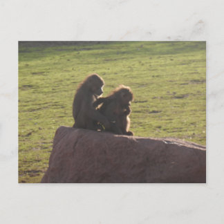 Penningvänner Vykort